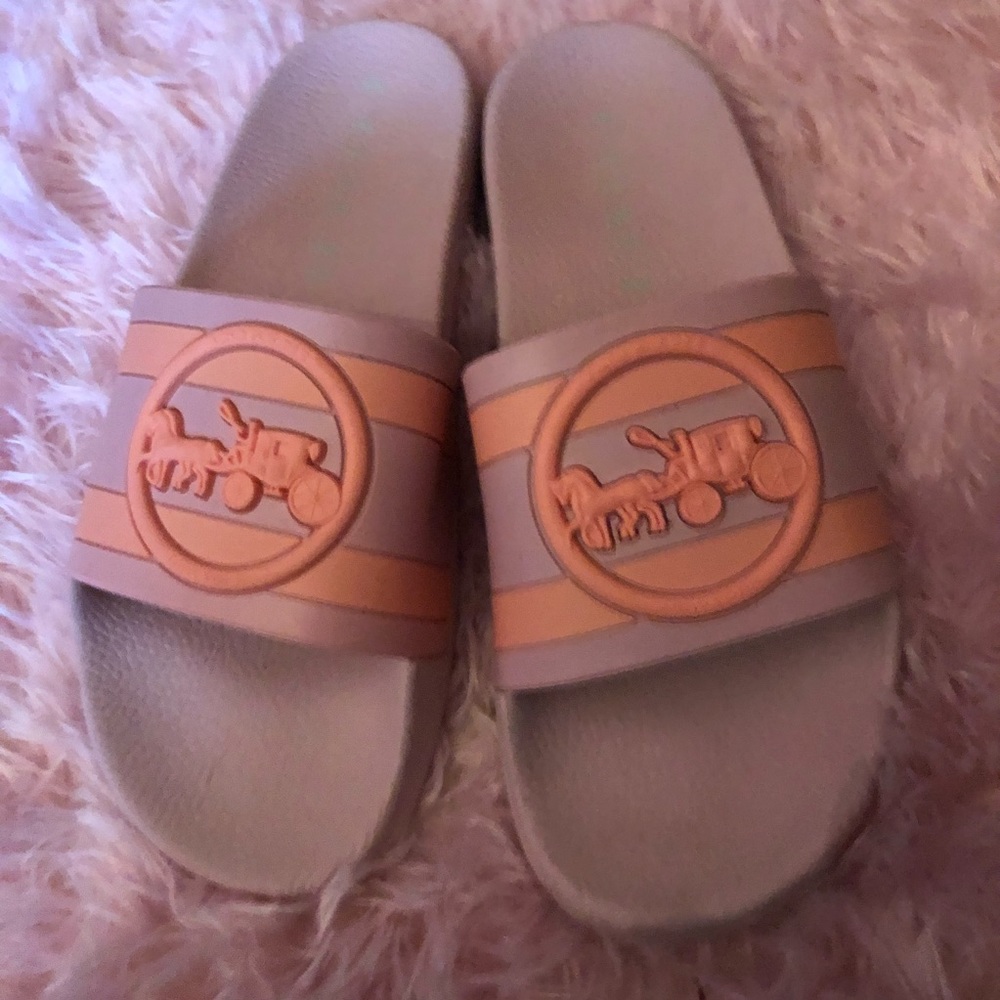Coach slides